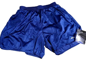 NEW! Women L Dolfin Nylon Shiny Lined w/ Liner Pocket Split Running Shorts Blue - Picture 1 of 9