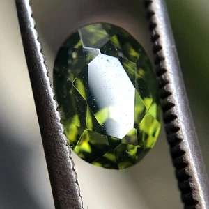 1.90 CT Natural Olive Green Zircon Oval Cut Unheated Ceylon Gemstone VVS1 - Picture 1 of 10