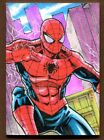 Spider-Man 2023 Finding Unicorn Marvel Infinity Saga Sketch Rustico Limosinero