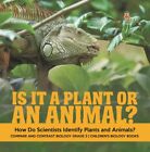 Is It a Plant or an Animal? How Do Scientists Identify Plants and Animals? Co...