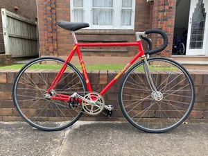 Masi Prestige Track Bike Velodrome Fixed Gear Fixie - Picture 1 of 22