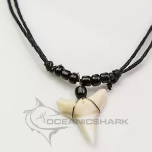 Bull shark tooth necklace large lower teeth black bead c71 - Bild 1 von 3