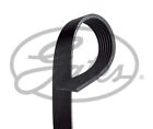 Gates Micro-V Drive Belt For Mercedes Benz C180 1.8 August 2007 To August 2014