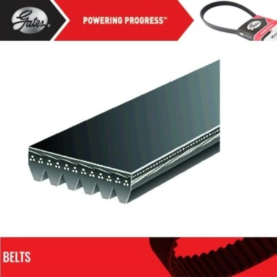 Serpentine Belt Gates For 2014 HYUNDAI ELANTRA COUPE L4-2.0L - Image 1 of 4