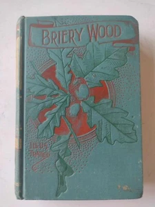 Briery Holz antikes Buch für Jugendliche selten Vintage - Bild 1 von 8
