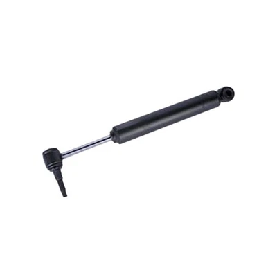 Genuine ACDelco For GMC Sierra 2500 HD/3500 HD 2010 Shock Absorber Painted Steel Foto 1 de 4