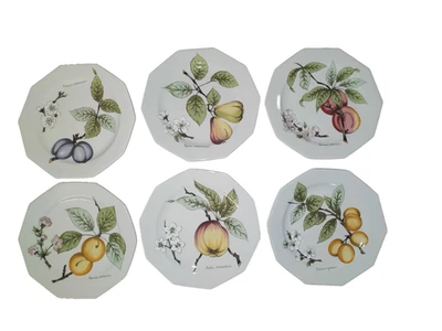 6er Set  Dekoteller Wandteller Obst bemalt - Bild 1 von 2