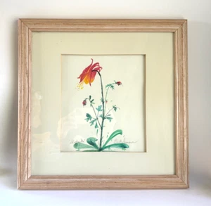 Vintage signiertes Aquarell gerahmt rot Columbine betitelt Sternschnuppe - Bild 1 von 5