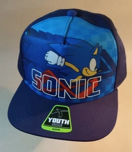 Sonic The Hedgehog Youth Cap. Never Worn. Has Sticker Of Size. - Picture 1 of 7
