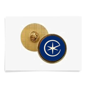 Eurostar Badge - Picture 1 of 1