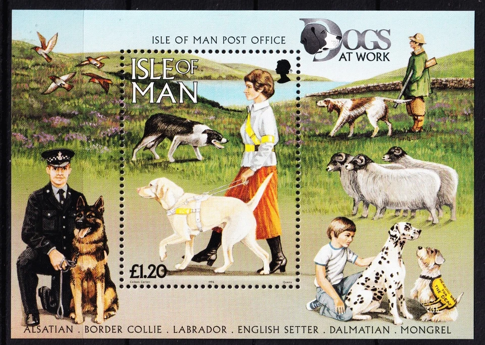 ISLE OF MAN . 1996 Dogs at Work Sheet (722) . Mint Never Hinged - Image 1 of 1