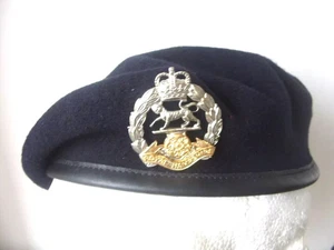 THE ROYAL HAMPSHIRE REGIMENT - VETERAN BERET & METAL CAP BADGE BRITISH ARMY - Picture 1 of 5