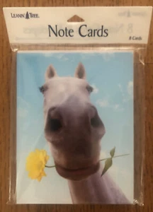 8 Leanin Tree Note Cards SWEET WHITE HORSE WITH YELLOW FLOWER IN MOUTH - Picture 1 of 2