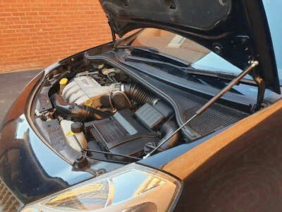 DARK ICE DESIGNS Renault Clio mk3 Sport RS 197 200 2005-12 Cofano Kit Sollevatore Gas