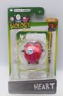 Basher Science Biology Heart Figure - Series 1 - comes with 2 Game Cards