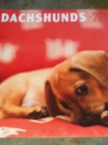 Neuer Wandkalender Dackel 2015 UNGEÖFFNET!!! - Bild 1 von 2