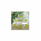 5 x LARGE ORCHIDS - WHITE & YELLOW  Mulberry Paper Flowers Cardmaking Crafts