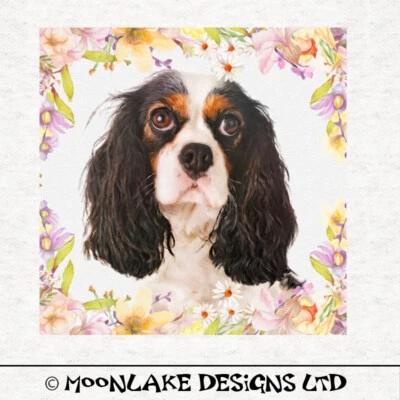 MOONLAKE FABRICS Hund - King Charles Spaniel Stoff Handarbeit Paneele in 100% Baumwolle oder Polyester