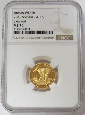 2025 GOLD SOMALIA 100 SHILLINGS AFRICAN WILDLIFE - ELEPHANT 1/10oz NGC MS 70 - Image 1 of 2