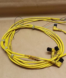 4- Balluff Cable C04REL00VY050M #6500 - Picture 1 of 6