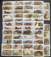 HUSTLER SOAP ANIMAL CARDS - Issued 1925 x 54 Push Out Cards