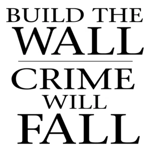 "Build the Wall" Trump 2024 / MAGA / 2024 Elections / Make America Great Again - Picture 1 of 10