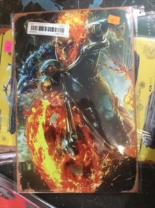 Letrero metálico Ghost Rider 12x9 - Imagen 1 de 1