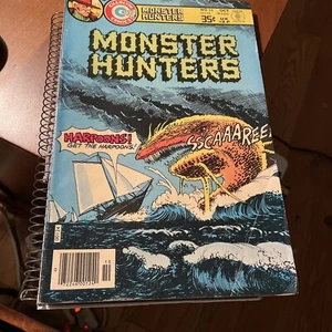 Monster Hunters #16 (Charlton Comics Group, October 1978) - Picture 1 of 4