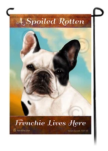 A Spoiled Rotten Pied Frenchie vive aquí - Imagen 1 de 1