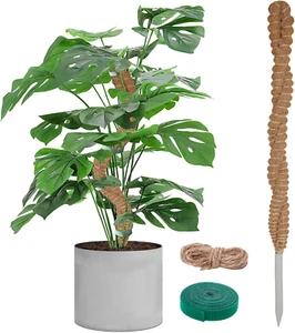 Moss Pole for Plants Monstera - 25 Inch Plant Stakes for Indoor, Moss Poles for - Picture 1 of 12