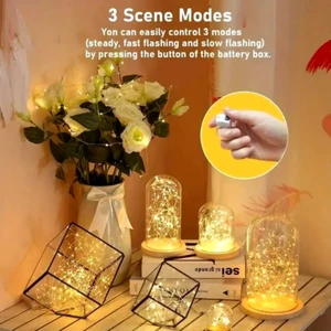 1M 10LED Warm White Battery Micro Rice Wire Copper Fairy String Lights - Picture 1 of 5