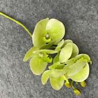 Elegant Table Ornament Realistic Artificial Butterfly Orchids For Home Decor