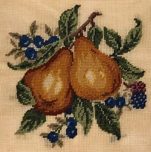 Preworked FRUITS STILL LIFE PAIR OF PEARS Needlepoint Canvas 9" x 9 3/8" 3621 - Picture 1 of 2