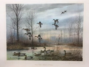 Bache de madera David Hagerbaumer Mallards & Widgeon Ducks firmado y # impresión artística - Imagen 1 de 1