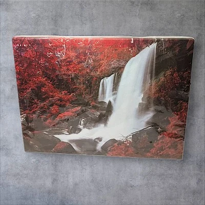 Beautiful Red Black Forest Waterfall Canvas Print. 12" X 15.5", Ready To Hang. - Image 1 of 2