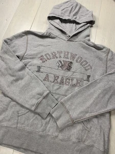 American Eagle Vintage Slim Fit Sweatshirt Adult Medium Gray Hoodie Graphic - Picture 1 of 18