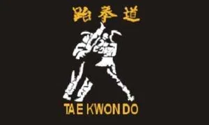 Taekwondo Flagge Deko Flagge 3 x 5 Fuß - Neu - Bild 1 von 1