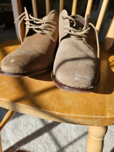 Cole Haan Men's Beige Suede Oxfords in Super Top Excellent Condition - Picture 1 of 15