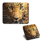 1 Mouse Mat & 1 Square Coaster Leopard Wild Animal Portrait Cat #63180