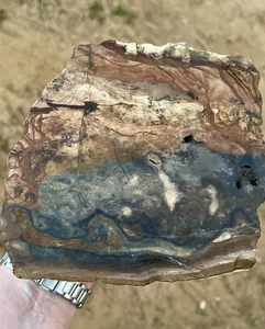 Imagen lapidaria de jaspe azul Biggs de 3,96 lb áspera de Biggs, Oregon - Imagen 1 de 6