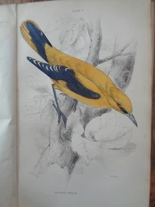 1837 BIRDS OF GREAT BRITAIN & IRELAND VOL 2 by JARDINE 30 COL PLTS ORNITHOLOGY - Picture 1 of 19