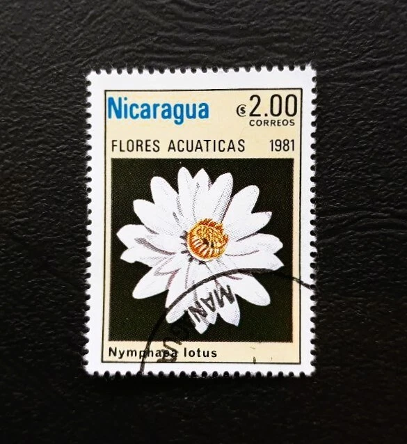 Timbre Nicaragua 1981. 1 timbre oblitéré sans trace de charnière. TBE. - Photo 1/1