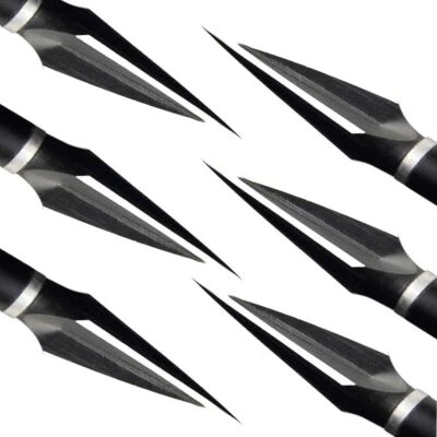 6/12X Tiro con arco Broadheads puntas de caza tradicionales 125 gr flechas de carbono caza - Imagen 1 de 4