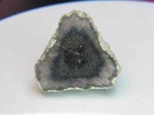 38.70CT COLLECTOR CRYSTAL OPAQUE MADAGASCAR LIDDICOATITE TOURMALINE 1/2XTL - Picture 1 of 4