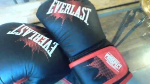 8 OZ. Everlast Medium boxing gloves - Picture 1 of 3