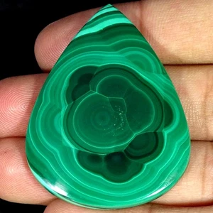 99.60Cts. Royal Natural Green Malachite Pear Cabochon Gemstone 37X49X4MM - Picture 1 of 4