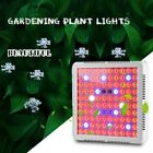 300W Full Spectrum LED Plant Grow Light Lamp Timed Indoor LED Grow Light