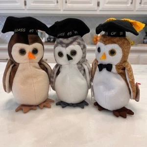 Ty Beanie Babys Wise Wiser Weiseste Eule Plüsch Klasse 98 99 00 Abschluss - Bild 1 von 7