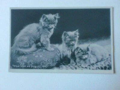 Cats Kittens "What Shall We Play At Next" Vintage RP Wildt & Kray Postcard  - Image 1 of 2