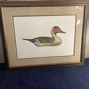 Arthur Nevin Pintail Drake Decoy Barnegat New Jersey 1925 97/150 Signed Numbered - Picture 1 of 8